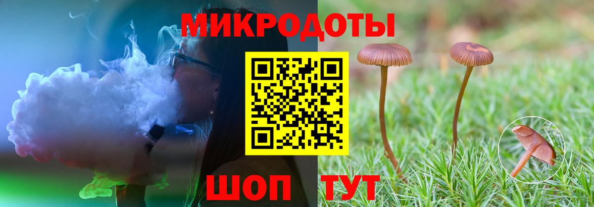 Домодедово  Галлюциногенные грибы прущие грибы  Вход с VPN 